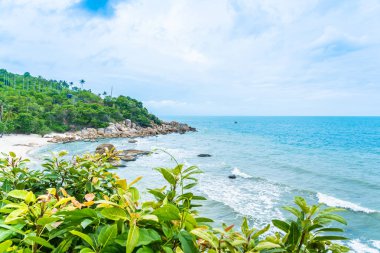 Samui Adası etrafında güzel açık tropikal plaj deniz ile Co