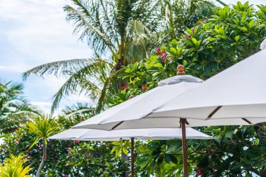 Üzerinde hindistan cevizi palmiye ağacı ile şemsiye seçici odak noktası 