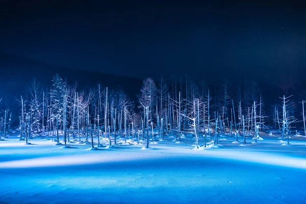 Beau paysage extérieur avec étang bleu rivière la nuit avec l — Photo