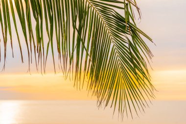 Hol için gün doğumu saatinde palmiye ağacı ile güzel deniz okyanusu plaj