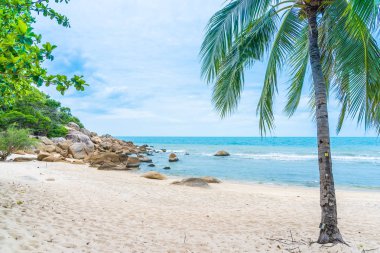 Samui Adası etrafında güzel açık tropikal plaj deniz ile Co