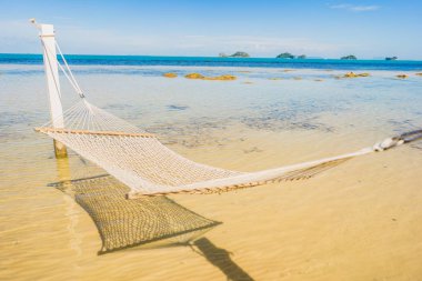 Holi için tropikal plaj deniz okyanusu etrafında güzel boş hamak