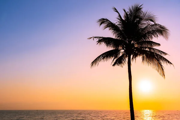 美丽的剪影椰子棕榈树在天空接近海海洋是 — 图库照片