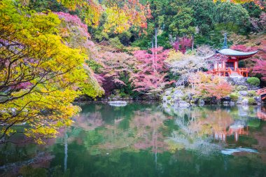 Güzel Daigoji Tapınağı ile renkli ağaç ve yaprak sonbahar s