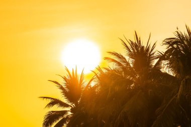 Güzel açık doğa gökyüzü ve gün batımı veya c çevresinde gündoğumu ile