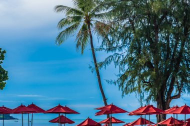 Sıcak açık yüzme havuzu etrafında güzel şemsiye ve sandalye