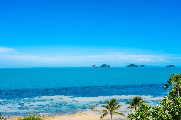 Морской океан с кокосовой пальмой на голубом небе — стоковое фото