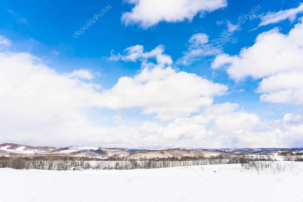 Beautiful outdoor nature landscape with tree in snow winter seas