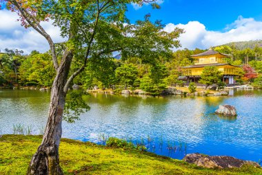 Kyoto Japonya'da altın köşk ile güzel Kinkakuji Tapınağı