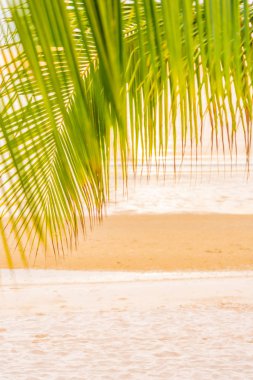 Hol için gün doğumu saatinde palmiye ağacı ile güzel deniz okyanusu plaj