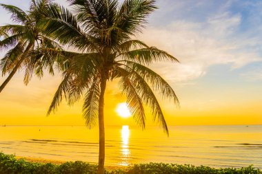 COC ile deniz Okyanusu plajının güzel açık tropikal manzara