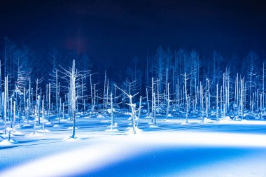 Mavi Göl nehir l ile gece ile güzel açık peyzaj
