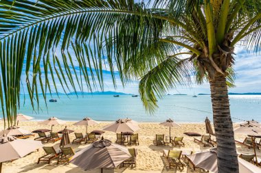 Hindistan cevizi palmiye ağacı ile güzel tropikal plaj deniz ve okyanus bir