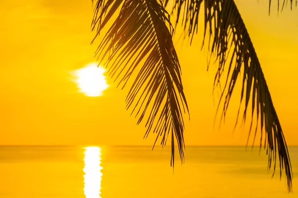 Красивий тропічний пейзаж морського океану пляж з коком — стокове фото