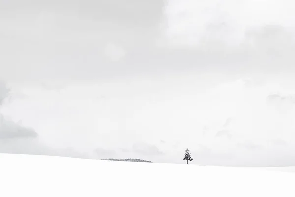 Vackra utomhus natur landskap med julgran i vinter — Stockfoto