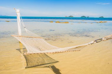 Holi için tropikal plaj deniz okyanusu etrafında güzel boş hamak