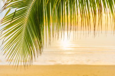 Hol için gün doğumu saatinde palmiye ağacı ile güzel deniz okyanusu plaj