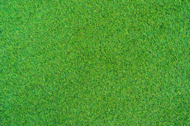 Soyut yeşil çim dokusu ve yüzeyi
