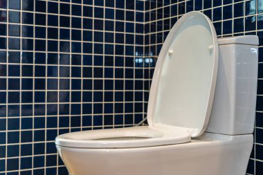 Banyo içindeki klozet kapağı.