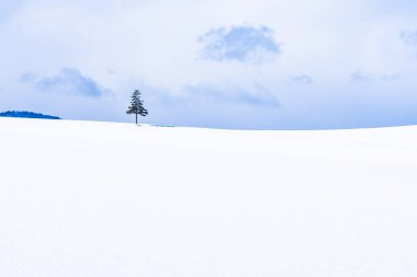 Güzel açık doğa manzara ile Noel ağacı kışın