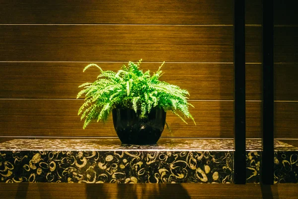 Vase plant decoration