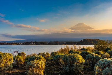 Dağ fuji ile akçaağaç yaprağı ağacın etrafında güzel manzara