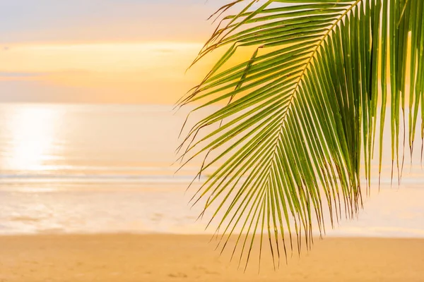 Beautiful sea ocean beach with palm tree at sunrise time for hol — Stock Photo, Image