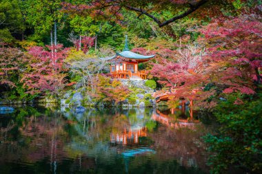 Güzel Daigoji Tapınağı ile renkli ağaç ve yaprak sonbahar s