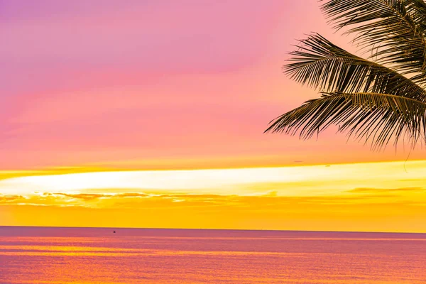 Bella spiaggia mare oceano con palma all'alba per l'alcol — Foto Stock