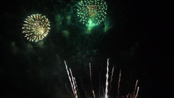 Imágenes Cerca Fuegos Artificiales Que Explotan Cielo Nocturno — Vídeo de stock