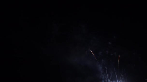 밤하늘에서 불꽃이 터지는 장면을 — 비디오