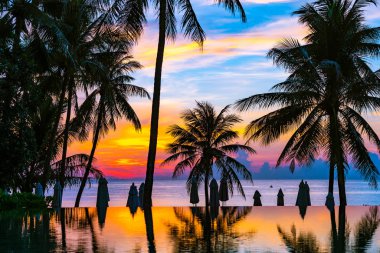 Yüzme havuzu güzel açık tropikal doğa manzara 