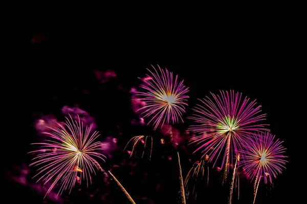 Belle exposition de feu d'artifice coloré la nuit pour célébrer — Photo