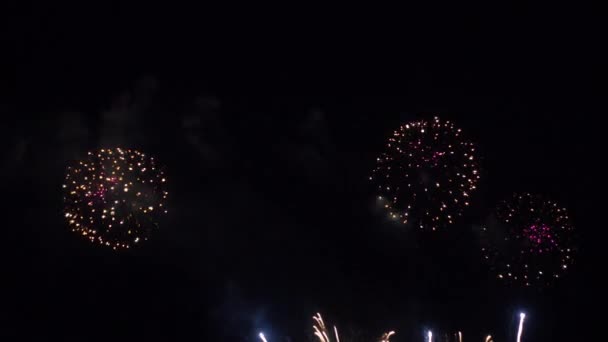 Images Rapprochées Feux Artifice Explosant Dans Ciel Nocturne — Video