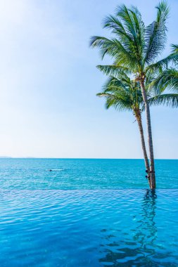 Otelin havuzunda hindistan cevizi palmiyeli lüks bir yüzme havuzu.