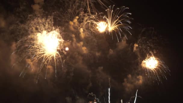 Imagens Perto Fogos Artifício Explodindo Céu Noturno — Vídeo de Stock