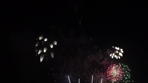 Detailní Záběry Ohňostroje Explodujícího Noční Obloze — Stock video