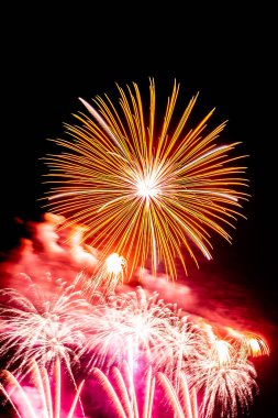 Kutlama için güzel renkli havai fişek gösterisi