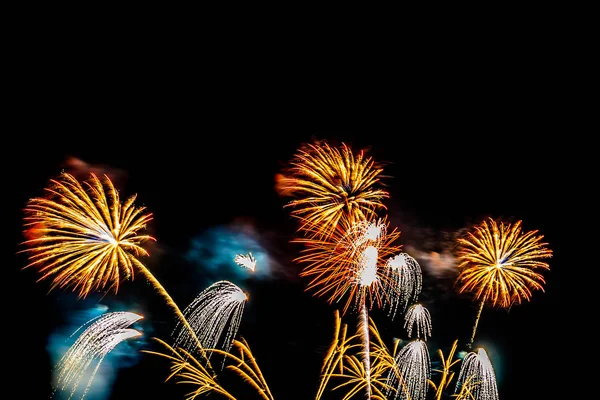 Bellissimo spettacolo pirotecnico colorato di notte per festeggiare — Foto Stock