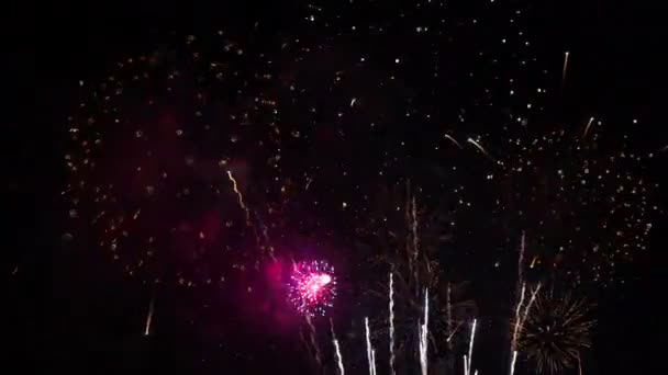 Imagens Perto Fogos Artifício Explodindo Céu Noturno — Vídeo de Stock