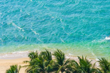 Güzel hindistan cevizi palmiyesi ve yapraklı deniz okyanusu