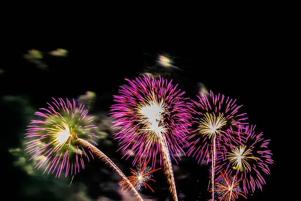 Hermosa exhibición de fuegos artificiales de colores en la noche para celebrar —  Fotos de Stock
