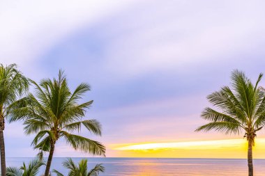 Hol için gün doğumu saatinde palmiye ağacı ile güzel deniz okyanusu plaj