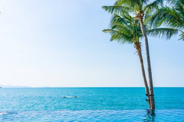 Otelin havuzunda hindistan cevizi palmiyeli lüks bir yüzme havuzu.