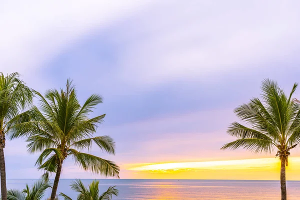 Bella spiaggia mare oceano con palma all'alba per l'alcol — Foto Stock
