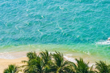 Güzel hindistan cevizi palmiyesi ve yapraklı deniz okyanusu