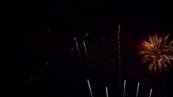 Images Rapprochées Feux Artifice Explosant Dans Ciel Nocturne — Video