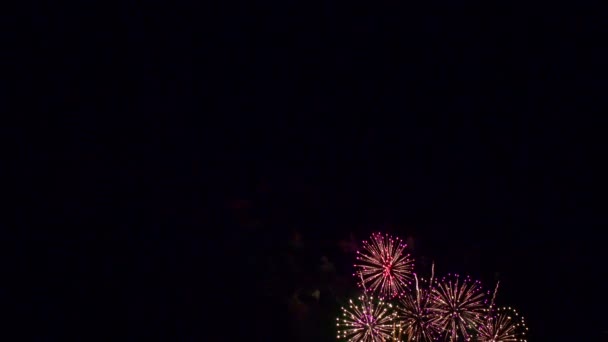 Images Rapprochées Feux Artifice Explosant Dans Ciel Nocturne — Video