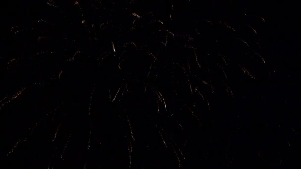 Imagens Perto Fogos Artifício Explodindo Céu Noturno — Vídeo de Stock