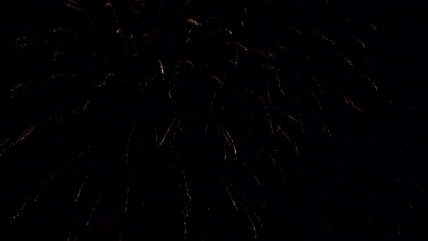images rapprochées de feux d'artifice explosant dans le ciel nocturne